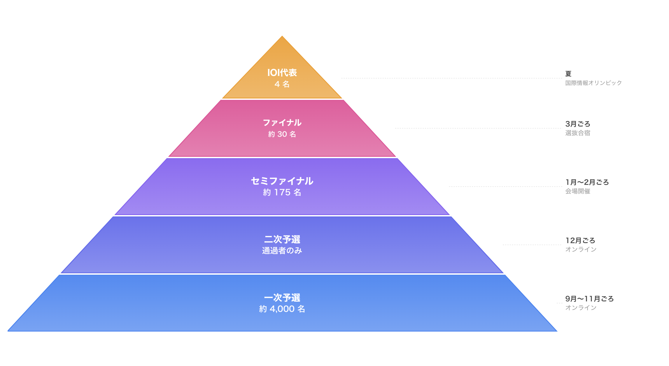 一次予選 → 二次予選 → セミファイナル → ファイナル → IOI代表のフロー図